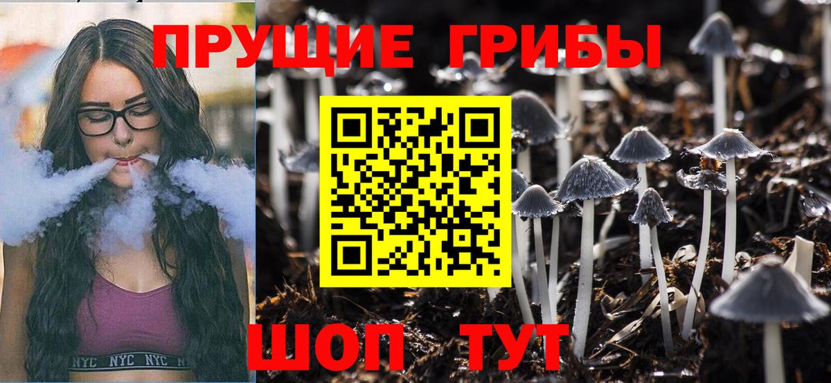 Галлюциногенные грибы Magic Shrooms  Вход с VPN  Малоярославец 